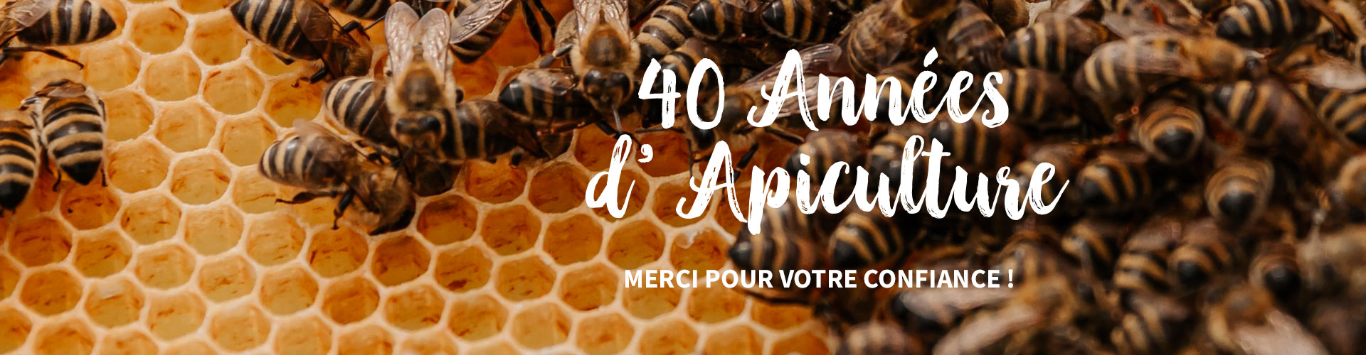 Le Ruchesco : 40 ans d'apiculture