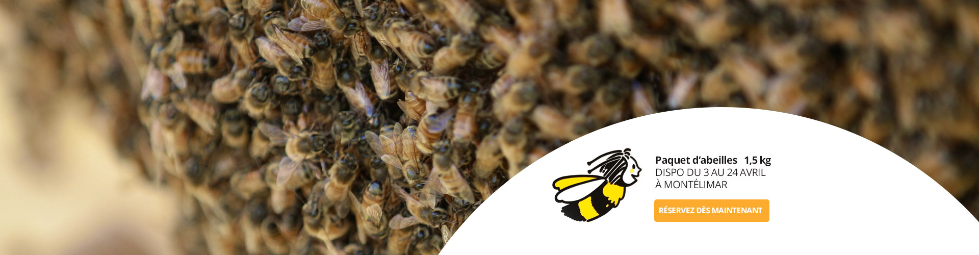 Le Ruchesco : Paquet d'abeilles sans reines